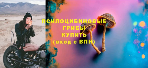 круглые Алексеевка