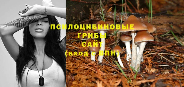 круглые Алексеевка
