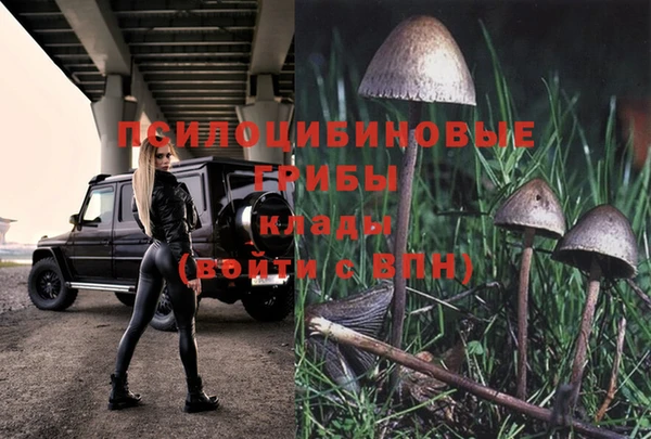 круглые Алексеевка